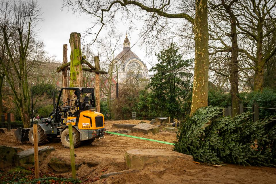 ZOO Antwerpen / Jonas Verhulst