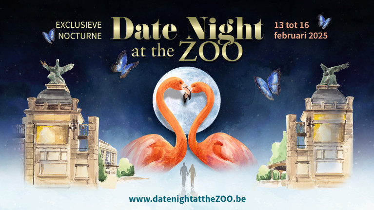 Date Night at the ZOO