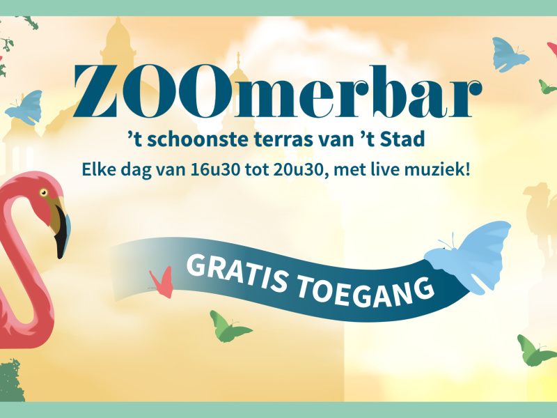 ZOOmerbar in ZOO Antwerpen: dé hotspot van de zomer in ’t Stad
